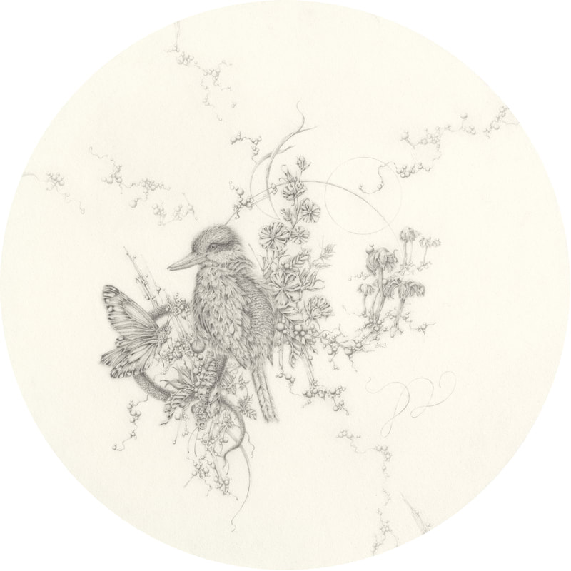 Eva Nolan, drawing, pencil on paper, kingfisher, bird, butterfly, hibiscus, Australian art