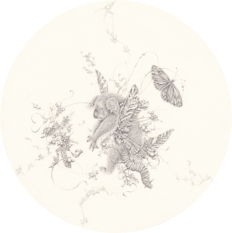 Eva Nolan, drawing, pencil on paper, koala, mangrove, butterfly, caterpillar, Australian art