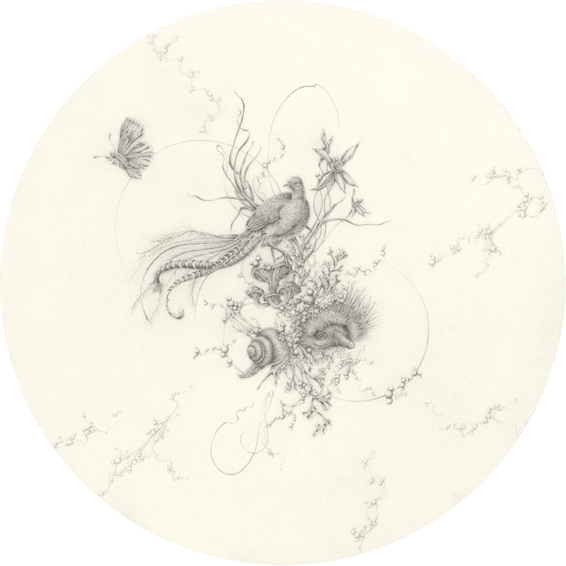 Eva Nolan, drawing, pencil on paper, lyre bird, echidna, butterfly, snail, Australian art